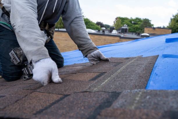Best Storm Damage Roof Repair  in Fairfield, IA